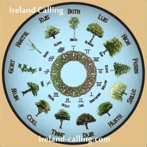 The Celtic Tree Calendar