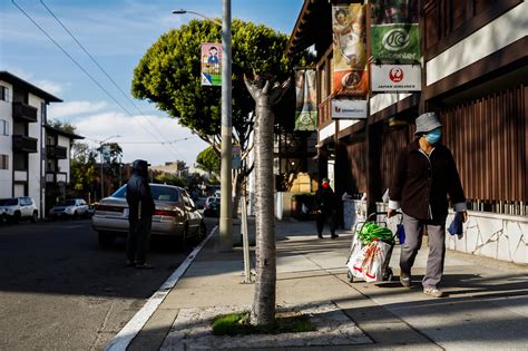 Vandalized cherry blossom trees in S.F. Japantown receive $30,000 in crowdfunding