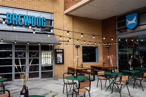 BrewDog joins forces with sustainable plant-based pioneers TiNDLE - Bristol Live