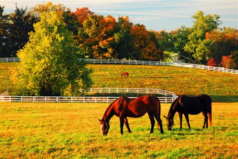 14 Best Places To Experience Fall In Kentucky - Southern Trippers