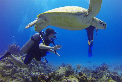 Lakshadweep Diving: 7 Amazing Days in One of World's Best Diving Sites