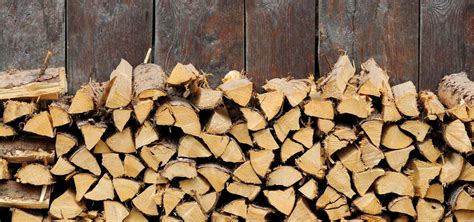 5 wood types that make the perfect kiln dried logs | Cozilogs