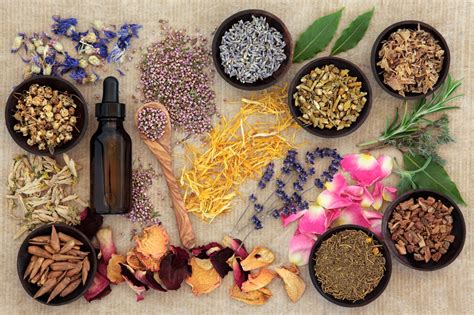 What are the mental and physical health benefits of essential oils?