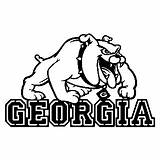University Of Georgia Bulldog Coloring Pages sketch template