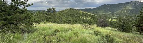 Burro Loop Trail, Colorado - 568 Reviews, Map | AllTrails