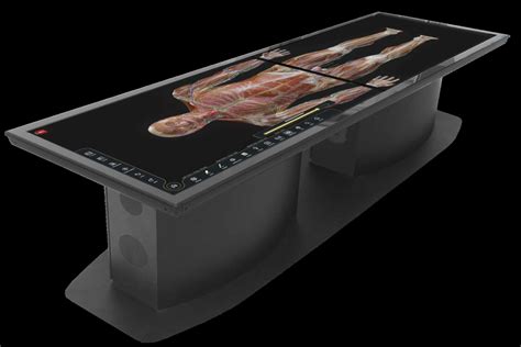 3D Virtual Cadaver Dissection Table – Healthcare Scientific