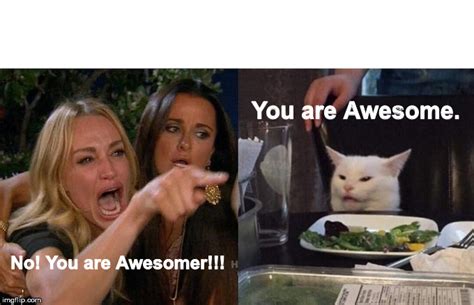 You Are Awesome Cat Meme