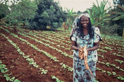 Wangari Maathai: Environmentalist, Nobel Peace Prize Winner