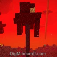 Crimson Forest in Minecraft