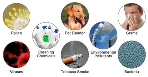 Understanding the Common Sources of Indoor Air Pollutants | Air ...