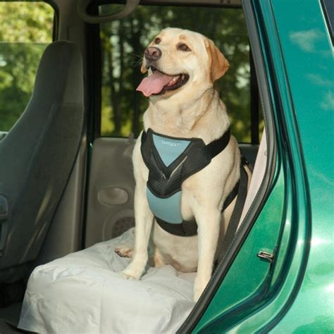 Bergan Auto Harness with Tether Dog Car Harness | Petco