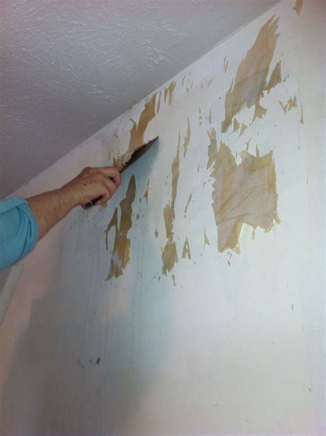 List Of Damaged Plasterboard After Removing Wallpaper Ideas - addison.hyperphp.com