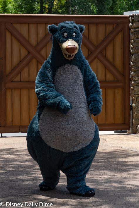 Complete Guide to Animal Kingdom Characters | Disney Daily Dime