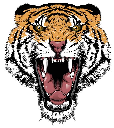 Tiger Roar Transparent | PNG All