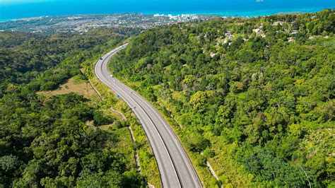 Fern Gully: Natural Attraction in Jamaica | BEACHES