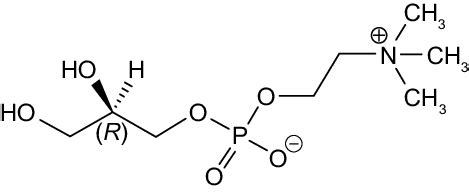 The structure of choline alfoscerate (l-alpha glycerylphosphorylcholine). | Download Scientific ...