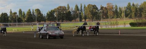 Tom and Donna Full-timer RV Blog: Cal Expo Harness Racing