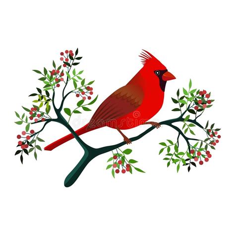 Cardinal Bird Clipart Free : Download High Quality Cardinal Clipart Christmas Transparent Png ...