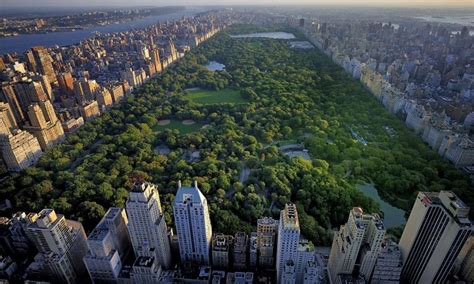 Conoce el Central Park en Nueva York - Parques Alegres I.A.P.