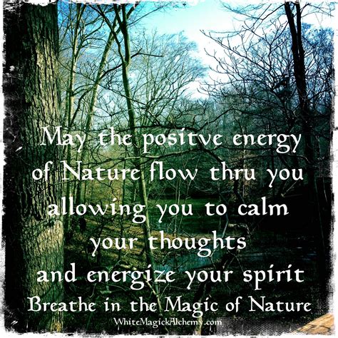 Breathe in the quiet magic of nature | Nature quotes, Thoughts, Nature