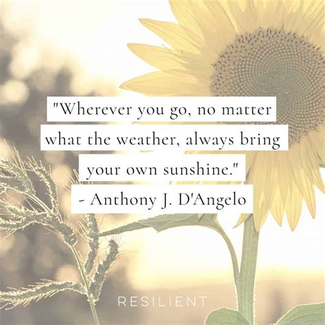 40+ Sun Quotes and Sunshine Quotes - Resilient