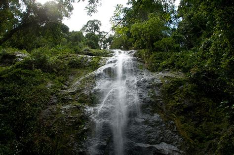 | Danum Valley Conservation Area – Close To Nature