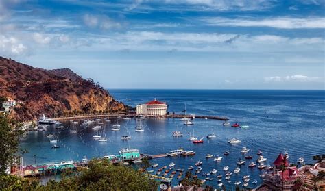 What You Need to Know to Plan a Day Trip to Catalina Island | by Dr. Bharat Lall | Medium