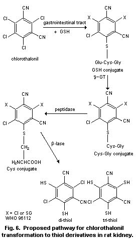 Chlorothalonil (EHC 183, 1996)