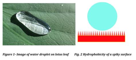 Discover the keys to formulating hydrophobic coatings