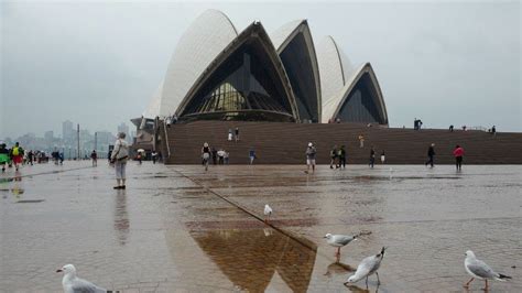 Sydney sees wettest year on record - BBC News