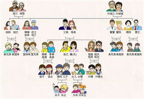 Chinese Family Tree | Learn Chinese