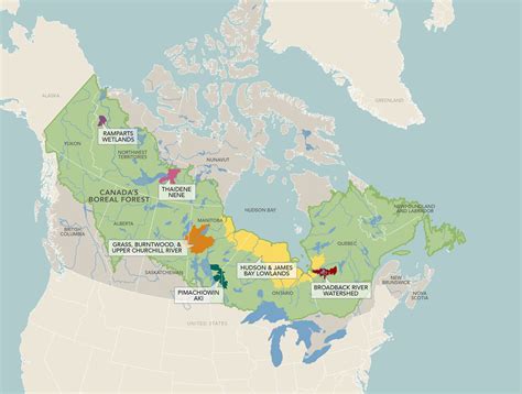 Canada’s boreal wetlands are key to fighting climate change: report ...