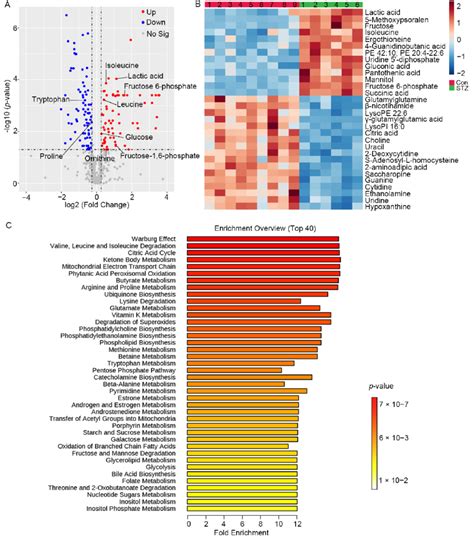 Metabolomics reveals differential metabolites and metabolic pathways in ...