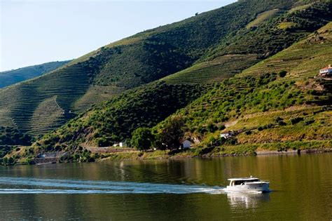 Douro Valley River Cruise » Private boat & VIP wine tasting experience ...