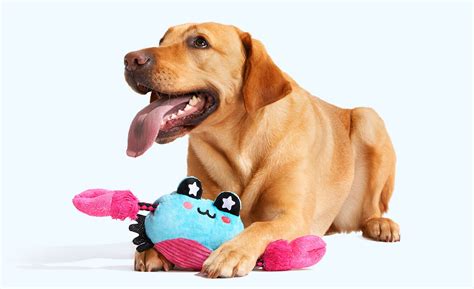 BarkBox - The Monthly Dog Toy and Treat Box