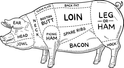 Pork Cuts 101: An Essential Guide to Different Cuts of Pork • Coleman ...