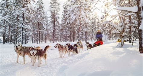 Winter Activities in Finland | The Natural Adventure