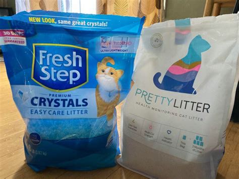 Silica Gel Litter Safe at Dusty Nickerson blog