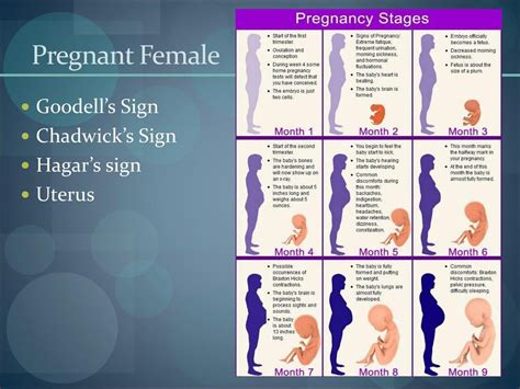 Chadwick Sign In Pregnancy : If a mother is breastfeeding, antihistamines may reduce milk ...