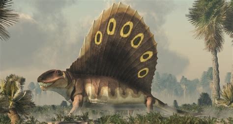 Why Dimetrodon Had a Sail on Its Back