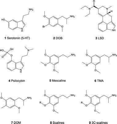 Frontiers | Receptor Interaction Profiles of 4-Alkoxy-3,5-Dimethoxy-Phenethylamines (Mescaline ...