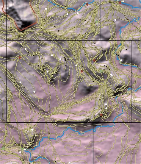 Example of survey work conducted by field directors and field ...