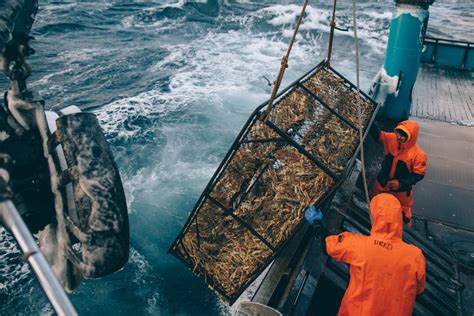 Dispatches: Life on an Alaskan Crab Boat - Men's Journal