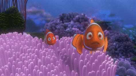 Finding Nemo GIF - Find & Share on GIPHY