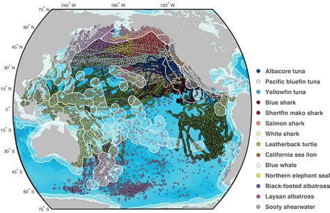 Smithsonian and Partners Map Extensive Transnational and High-Seas ...