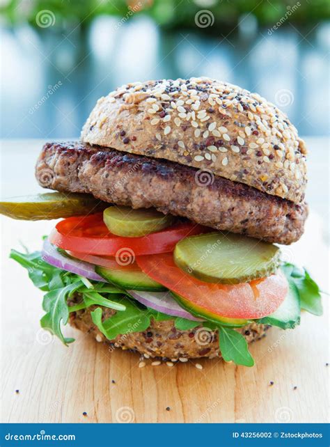 Lean beef burger stock photo. Image of portrait, brown - 43256002