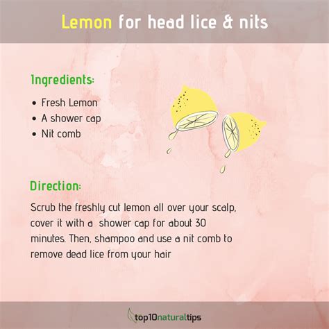 Quick Way To Get Rid Of Nits - Just For Guide