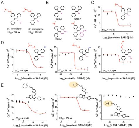 SERMs effect on intracellular calcium influx. (A) Chemical structures... | Download Scientific ...