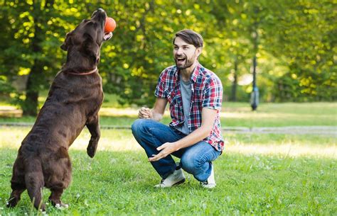 Black Dog Training