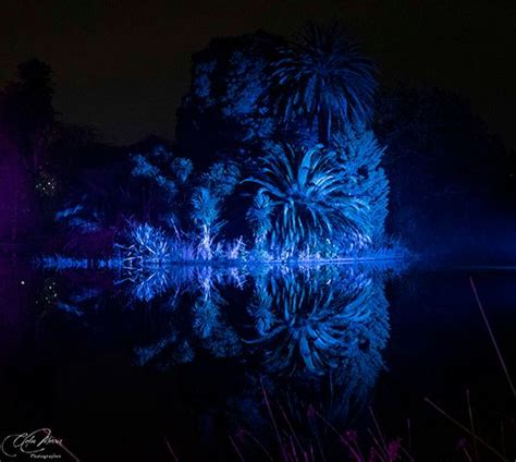 "Lightscape", Royal Botanic Gardens Melbourne - where nature and technology meet